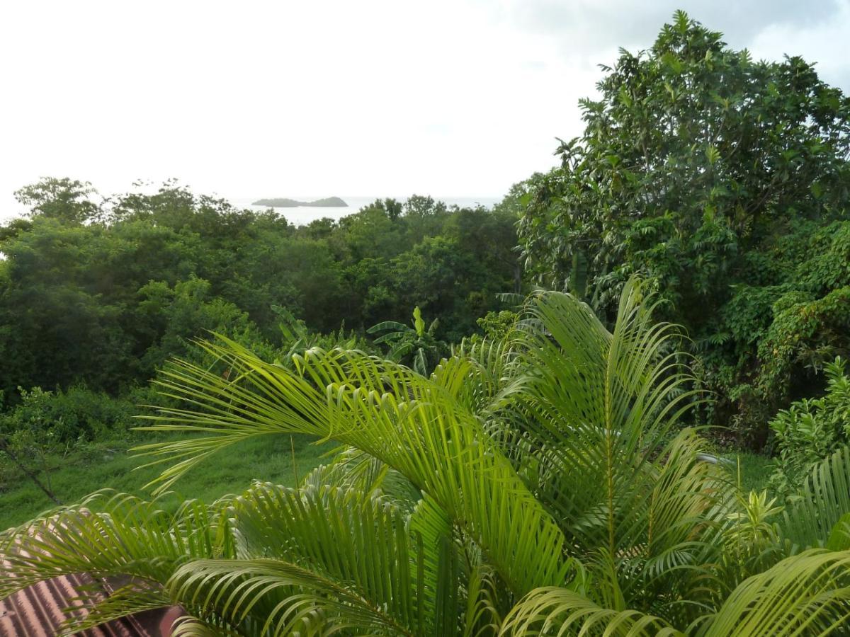 Malendure Bay Appartements บูญองต์ ภายนอก รูปภาพ